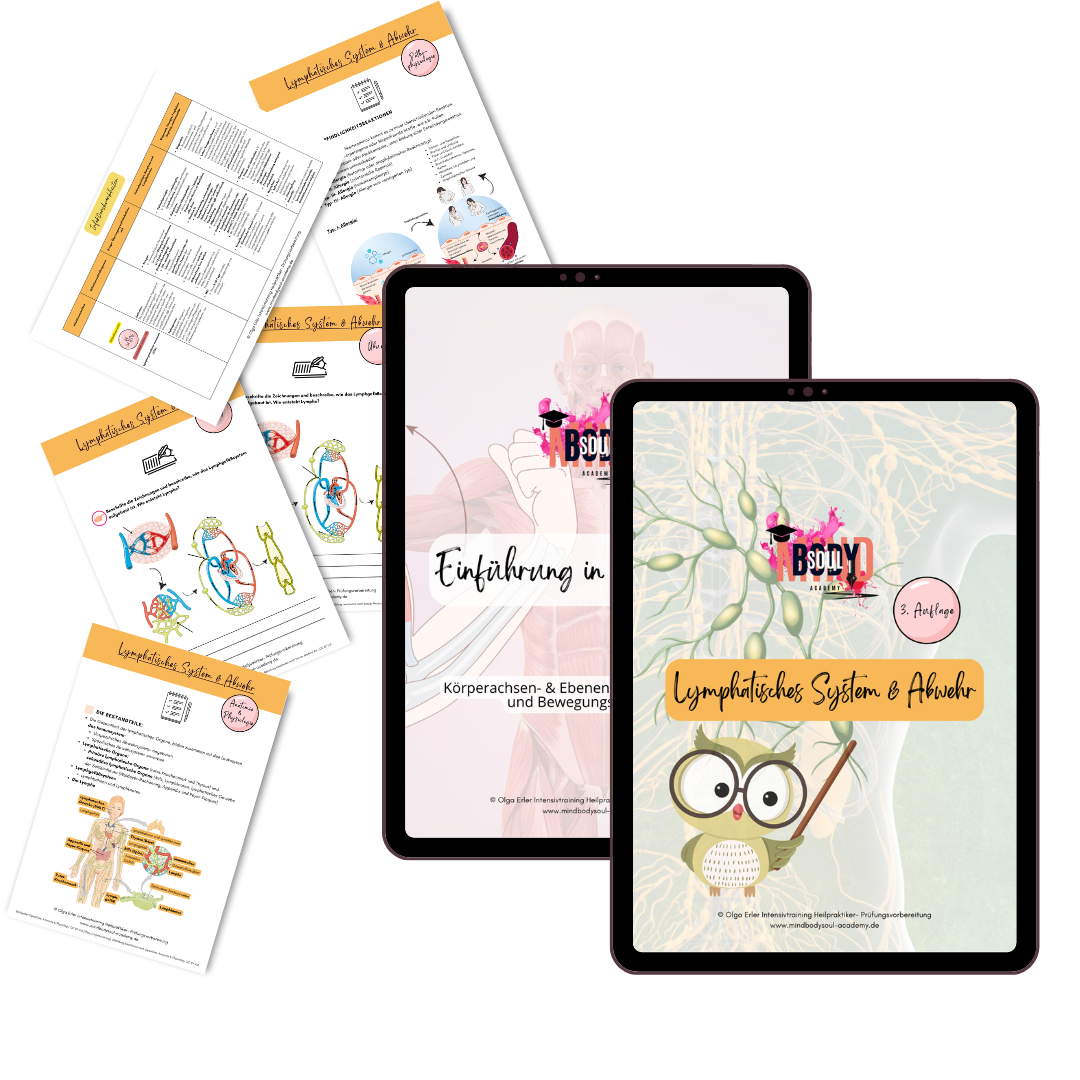 Alle digitalen Workbooks zur Heilpraktiker- Prüfungsvorbereitung als Gesamtpaket 📚 – Bild 4