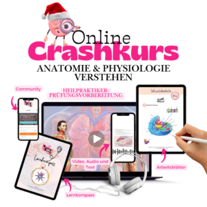 Aktuell NEU✨️ Crashkurs - Anatomie und Physiologie verstehen 🧠💡