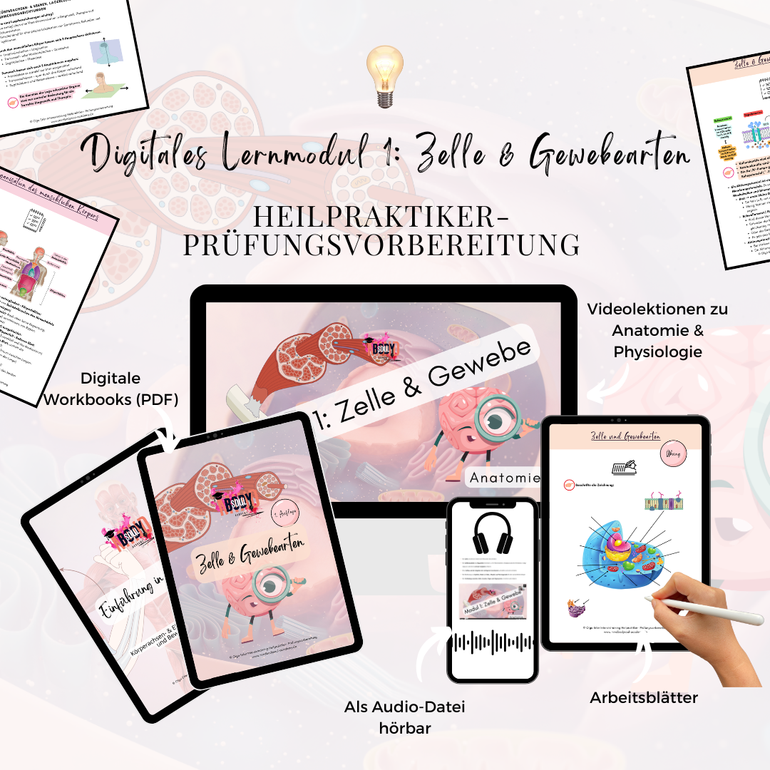 Digitales Lernmodul 1: Zelle und Gewebearten (mit Video und Digitales Workbook)🧬💡 – Bild 2
