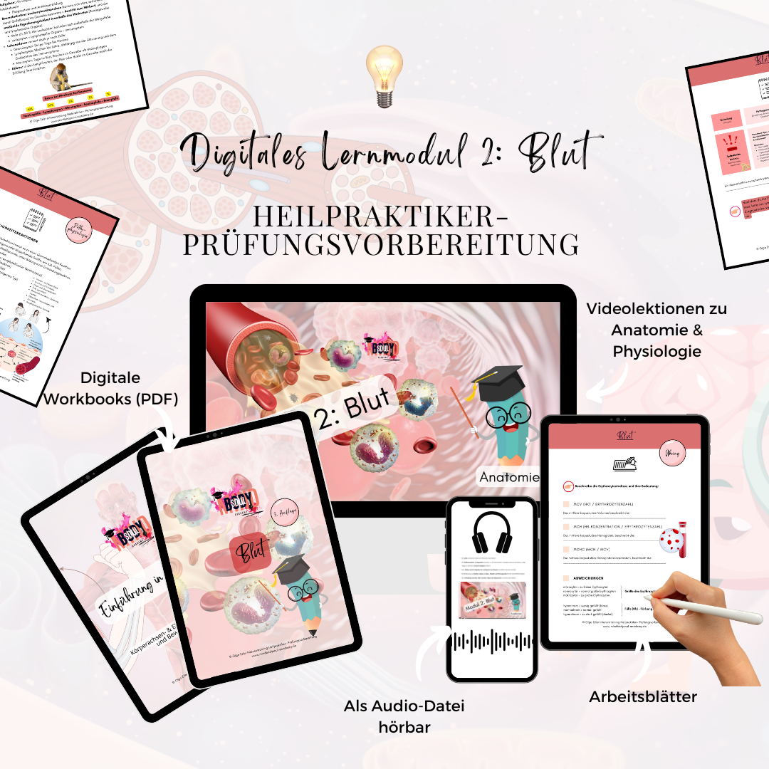 Digitales Lernmodul 2: Blut (mit Video und Digitales Workbook)🩸💡 – Bild 2