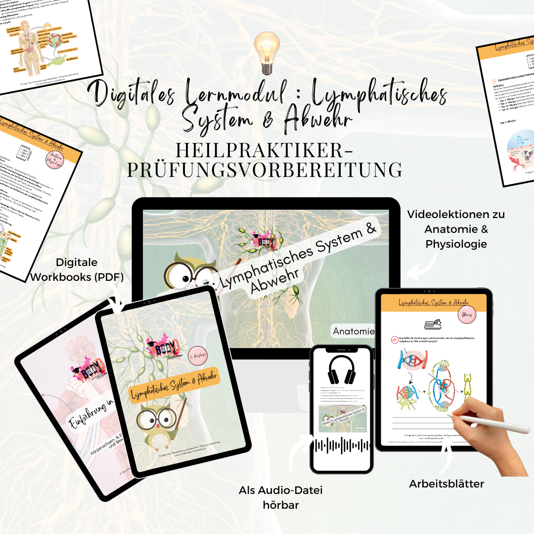 Digitales Lernmodul 3: Lymphatisches System und Abwehr (mit Video und Workbook)🛡️💡 – Bild 2