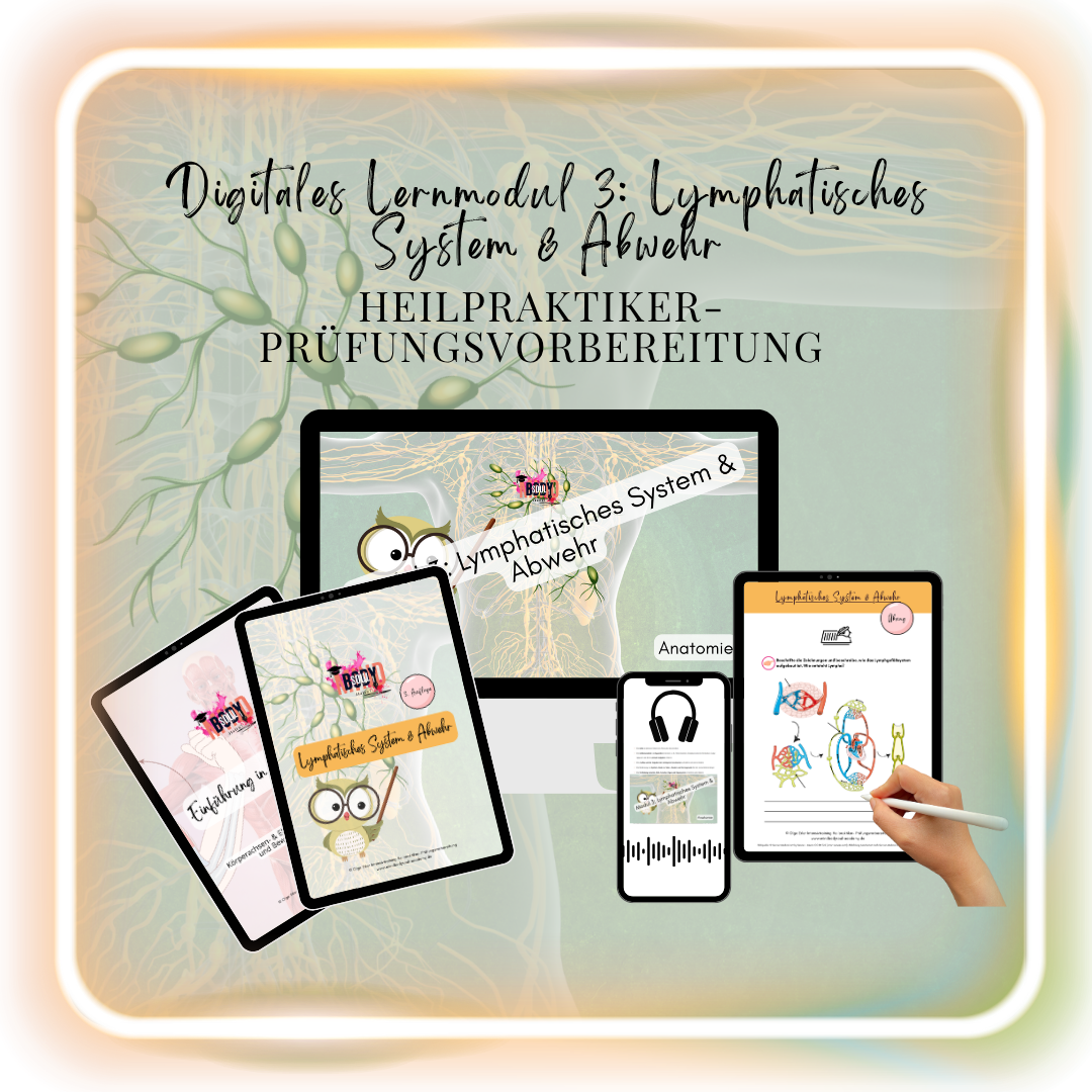 Digitales Lernmodul 3: Lymphatisches System und Abwehr (mit Video und Workbook)🛡️💡