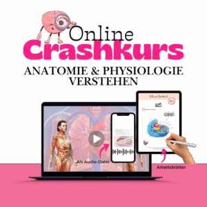 Crashkurs - Anatomie und Physiologie verstehen 🧠💡