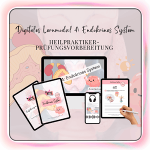 Digitales Lernmodul 4: Endokrines System (mit Video und Workbook)🧠💡
