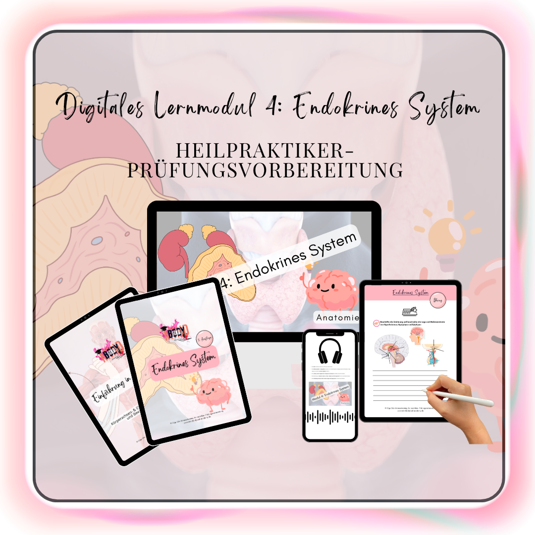Digitales Lernmodul 4: Endokrines System (mit Video und Workbook)🧠💡