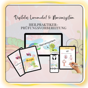Digitales Lernmodul 5: Nervensystem (mit Video und Workbook)🧠⚡