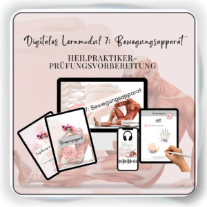 Digitales Lernmodul 7: Bewegungsapparat (mit Video und Workbook)🦴💪