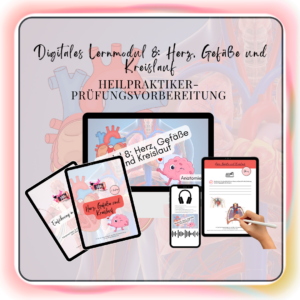 Digitales Lernmodul 8: Herz, Gefäße und Kreislauf (mit Video und Workbook)❤️