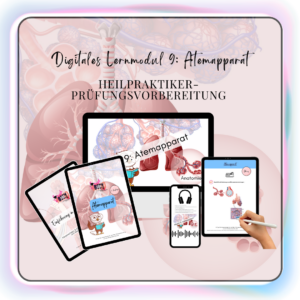 Digitales Lernmodul 9: Atemapparat (mit Video und Workbook) 🌬️