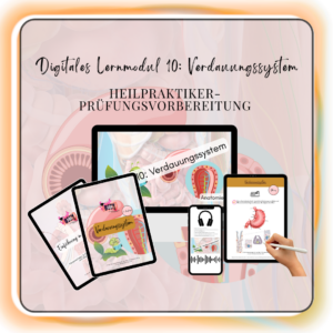 Digitales Lernmodul 10: Verdauungssystem (mit Video und Workbook) 🍽️