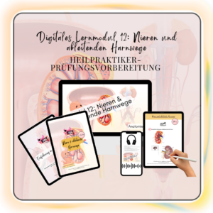 Digitales Lernmodul 12: Nieren und ableitende Harnwege (mit Video und Workbook) 💧