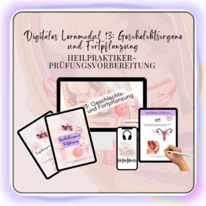 Digitales Lernmodul 13: Geschlechtsorgane und Fortpflanzung (mit Video und Workbook) 🧬👶